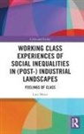 Lars Meier, Lars (Goethe Universitat Meier, Meier Lars - Working Class Experiences of Social Inequalities in Post Industrial