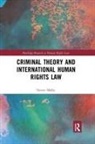 Steven Malby - Criminal Theory and International Human Rights Law