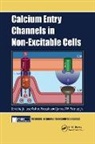 Juliusz Ashot Putney Kozak, Juliusz Ashot Kozak, Jr. Putney, James W. Putney Jr. - Calcium Entry Channels in Non-Excitable Cells