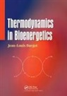 Jean-Louis Burgot, Burgot Jean-Louis - Thermodynamics in Bioenergetics