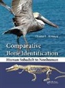 Diane L. France, France Diane L. - Comparative Bone Identification