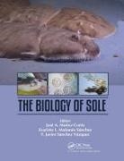 Jose A. (University of Cadiz Munoz-Cueto, Evaristo Mañanós-Sánchez, José A Munoz-Cueto, José A. Munoz-Cueto, F Javier Sánchez-Vázquez, F. Javier Sánchez-Vázquez - Biology of Sole