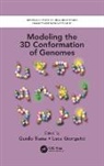 Guido Giorgetti Tiana, Luca Giorgetti, Guido Tiana - Modeling the 3d Conformation of Genomes