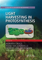 Roberta (Vrije Universiteit Croce, Roberta Croce, Croce Roberta, Herbert van Amerongen, Rienk van Grondelle, Ivo van Stokkum - Light Harvesting in Photosynthesis