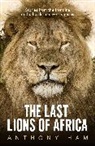 Anthony Ham - Last Lions of Africa