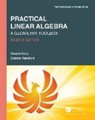 Gerald Farin, Gerald (Arizona State University Farin, Dianne Hansford, Hansford Dianne - Practical Linear Algebra