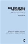Johan Galtung - European Community