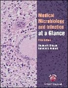 Kathleen B Bamford, Kathleen B. Bamford, Stephen H Gillespie, Stephen H. Gillespie, Stephen H. (University of St Andrews Gillespie - Medical Microbiology and Infection At a Glance