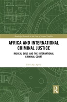 Fred Agwu - Africa and International Criminal Justice