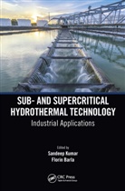 Sandeep (Associate Professor Kumar, Sandeep Barla Kumar, Florin Barla, Sandeep Kumar, Kumar Sandeep - Sub- And Supercritical Hydrothermal Technology