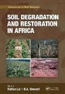 Rattan (The Ohio State University) Stewart Lal, Rattan Lal, Lal Rattan, B. A. Stewart - Soil Degradation and Restoration in Africa