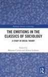 Massimo (University of Perugia Cerulo, Massimo Cerulo, Adrian Scribano - Emotions in the Classics of Sociology