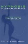 Molly DeLaney, Rick Voit, Rick Delaney Voit, Voit Rick - Hypnosis in Clinical Practice