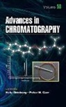 Nelu Carr Grinberg, Peter W. Carr, Carr Peter W., Nelu Grinberg, Grinberg Nelu - Advances in Chromatography