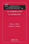 Norbert J Koksch, Norbert J. Koksch, Albert J Milani, Albert J. Milani, Albert J. Koksch Milani - Introduction to Semiflows