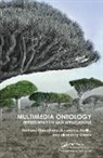 Santanu Chaudhury, Santanu Mallik Chaudhury, Chaudhury Santanu, Hiranmay Ghosh, Ghosh Hiranmay, Anupama Mallik... - Multimedia Ontology