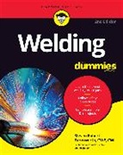 Steven Robert Farnsworth, Farnsworth Steven Robert - Welding for Dummies