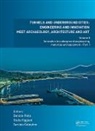 Daniele (Politecnico DI Torino Peila, Daniele Viggiani Peila, Tarcisio Celestino, Celestino Tarcisio, Daniele Peila, Giulia Viggiani... - Tunnels Underground Cities: Engineering Innovation Meet Archaeology,