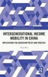Yuna Hou - Intergenerational Income Mobility in China