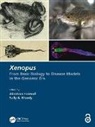 Abraham Moody Fainsod, Abraham Fainsod, Sally A. Moody, Moody Sally A. - Xenopus