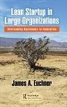 James A. Euchner - Lean Startup in Large Organizations