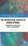 Cristian A. Silva, Cristian A. (Queens University Belfast) Silva - Interstitial Spaces of Urban Sprawl