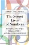 Alfred S Posamentier, Alfred S. Posamentier, Posamentier Alfred S. - Secret Lives of Numbers