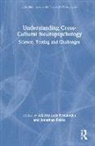 Alberto Luis Evans Fernandez, Jonathan Evans, Alberto Luis Fernández - Understanding Cross-Cultural Neuropsychology