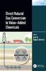 Jianli Shekhawat Hu, Jianli Hu, Dushyant Shekhawat, Shekhawat Dushyant - Direct Natural Gas Conversion to Value-Added Chemicals