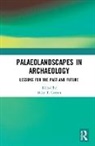 Mike T. (Associate Prof. Carson, Mike T. Carson, Carson Mike T. - Palaeolandscapes in Archaeology