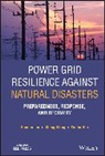 Yunhe Hou, Shunbo Lei, Shunbo (Chinese University of Hong Kong Lei, Shunbo Wang Lei, Chong Wang, Wang Chong - Power Grid Resilience Against Natural Disasters