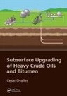 Cesar Ovalles, Cesar (Chevron Energy Technology Center ( Ovalles, Ovalles Cesar - Subsurface Upgrading of Heavy Crude Oils and Bitumen