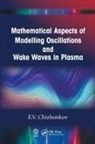 E.V. Chizhonkov - Mathematical Aspects of Modelling Oscillations and Wake Waves in Plasm