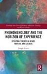 Joseph Rivera, Rivera Joseph - Phenomenology and the Horizon of Experience