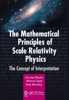 Maricel Agop, Agop Maricel, Nicolae Mazilu, Nicolae Agop Mazilu, Mazilu Nicolae, Ioan Merches... - Mathematical Principles of Scale Relativity Physics