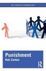 Rob Canton, Rob (De Montfort University Canton, Canton Rob - Punishment