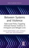 Amy Donley, Julio Montanez, Julio Donley Montanez, Amy Reckdenwald - Between Systems and Violence