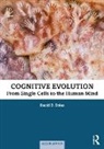 David B. Boles, David B. (University of Alabama Boles - Cognitive Evolution