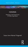 Susan Fitzgerald - Havana