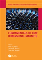 Ram K. (Pittsburg State University) Mishra Gupta, Ram K. Gupta, Sanjay R. Mishra, Tuan Anh Nguyen - Fundamentals of Low Dimensional Magnets