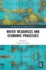 Tiziano Distefano, Tiziano Distefano - Water Resources and Economic Processes