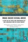 Asher Flynn, Flynn Asher, Nicola Henry, Nicola Mcglynn Henry, Henry Nicola, Kelly Johnson... - Image-Based Sexual Abuse