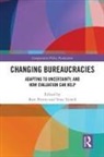 Burt Tyrrell Perrin, Burt Perrin, Perrin Burt, Tony Tyrrell - Changing Bureaucracies