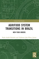 Paulo André Niederle, Paulo Andre Wesz Junior Niederle, Valdemar João Wesz Junior - Agrifood System Transitions in Brazil