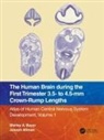 Joseph Altman, Altman Joseph, Shirley A. Bayer, Shirley A. (Indianapolis Bayer, Shirley A. Altman Bayer, Bayer Shirley A. - Human Brain During the First Trimester 3.5 To 4.5 Mm Crown Rump Length