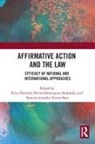Erica Redondo Howard, Narciso Baez, Erica Howard, Howard Erica, Elvira Redondo - Affirmative Action and the Law