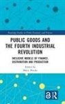 Maria Ponka, Maria Plonka, Maria Płonka - Public Goods and the Fourth Industrial Revolution