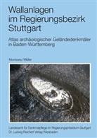 Christoph Morrissey, Dieter Müller - Vor- und frühgeschichtliche Befestigungen 28