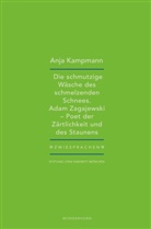 Anja Kampmann, Holger Pils - Die schmutzige Wäsche des schmelzenden Schnees