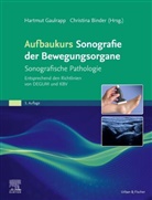 Binder-Jovanovic, Christina Binder-Jovanovic, Hartmut Gaulrapp - Aufbaukurs Sonografie der Bewegungsorgane
